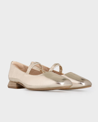 Shiloh Flats